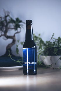 玻璃瓶中的社會責(zé)任 波蘭華沙啤酒業(yè)的藍色常春藤